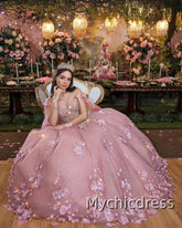 Floor Length Pink Princess Girl Sweet 15 Quinceanera Dress Ball Gowns